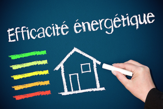 Efficacité énergétique : L'ADII et l'AMEE scellent un partenariat Efficacité énergétique : L'ADII et l'AMEE scellent un partenariat