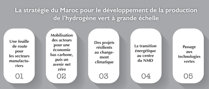 Hydrogène vert / McKinsey : le Maroc, leader de la transition énergétique en Afrique Hydrogène vert / McKinsey : le Maroc, leader de la transition énergétique en Afrique