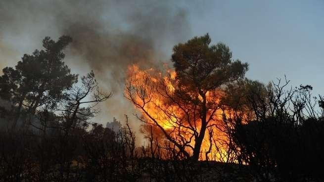 Chtouka-Ait Baha : Déclenchement d'un incendie dans l'Oasis de Targa