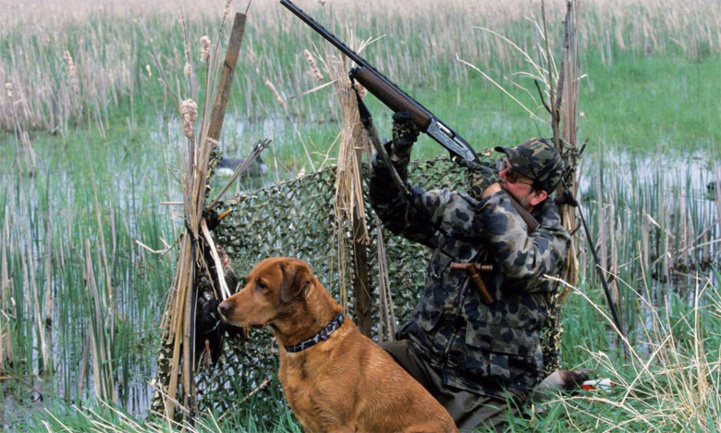 La saison de chasse 2021-2022 reprend 
