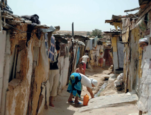 Journée mondiale de l’Habitat : Intégrer les nouveaux défis climatiques pour des villes vivables