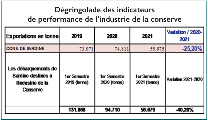 Sardine du Maroc : Entre conserve et farine, menace sur la reine des protéines Sardine du Maroc : Entre conserve et farine, menace sur la reine des protéines