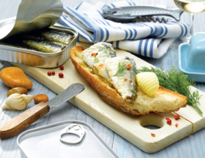 Sardine du Maroc : Entre conserve et farine, menace sur la reine des protéines Sardine du Maroc : Entre conserve et farine, menace sur la reine des protéines