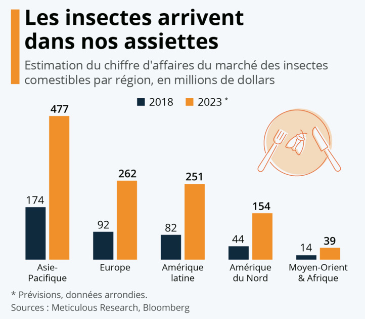 Alimentation alternative : Bientôt des insectes dans nos assiettes ?