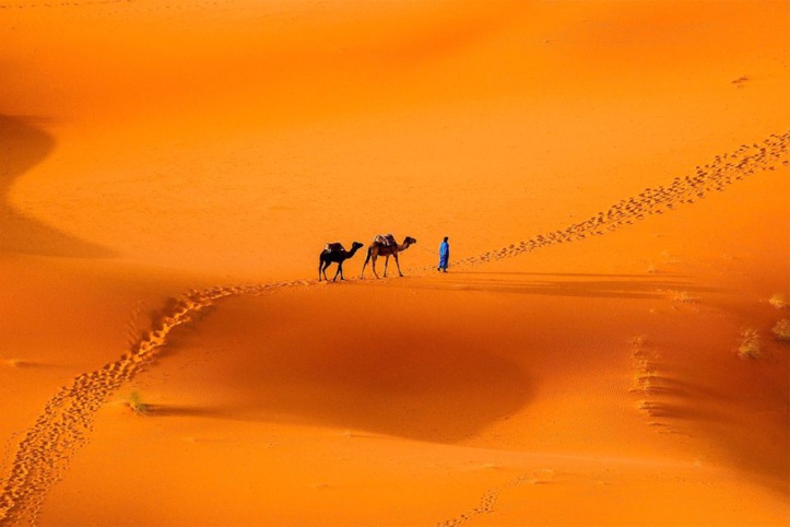 Sahara : les EAU rejettent « toute atteinte » à l'intégrité territoriale du Maroc Sahara : les EAU rejettent « toute atteinte » à l'intégrité territoriale du Maroc