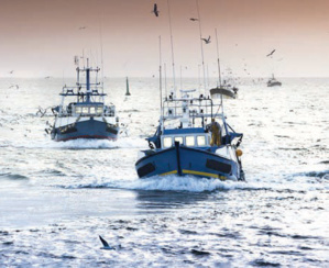 Accord de pêche et agricole / Maroc-UE : Rabat peut-il se passer des 27 ? Accord de pêche et agricole / Maroc-UE : Rabat peut-il se passer des 27 ?