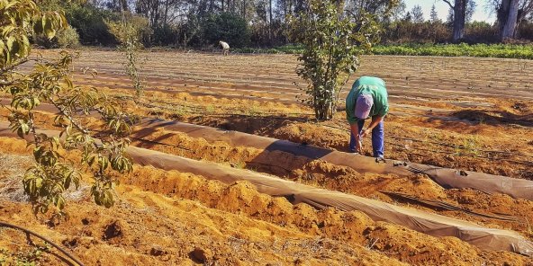 Produits environnementaux: Le commerce marocain atteint plus de 8 MMDH en 2020 (DEPF) Produits environnementaux: Le commerce marocain atteint plus de 8 MMDH en 2020 (DEPF)