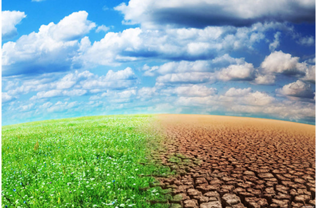 Changement climatique : le Maroc dans le top 10 des pays les mieux performants Changement climatique : le Maroc dans le top 10 des pays les mieux performants