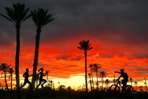 Trail Marrakech Palmeraie : Une course éco-challenge et sociale voit le jour Trail Marrakech Palmeraie : Une course éco-challenge et sociale voit le jour