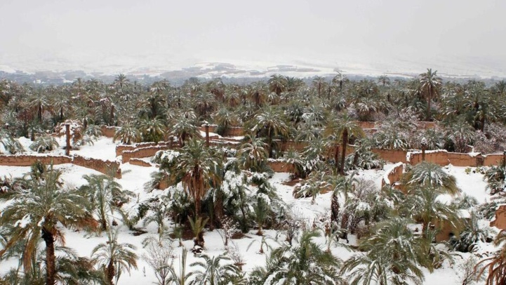 Retour de la neige dans plusieurs régions du Maroc Retour de la neige dans plusieurs régions du Maroc
