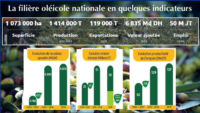 Oléiculture : Un fleuron national agricole à mi-chemin de l’épanouissement