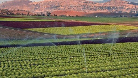 Agrégation agricole : La bouée de sauvetage pour une saison prometteuse Agrégation agricole : La bouée de sauvetage pour une saison prometteuse