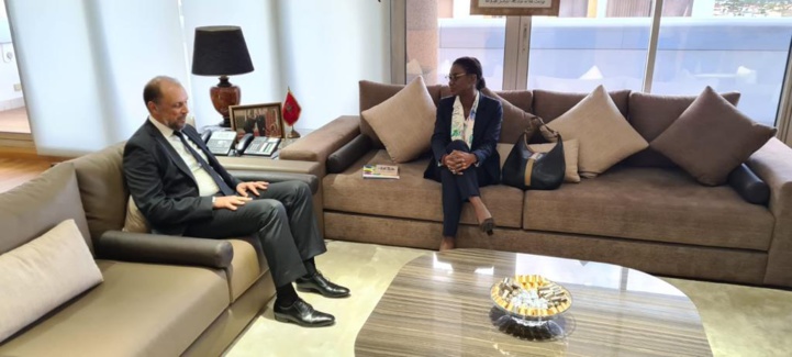 Jazouli s'entretient avec la Coordinatrice résidente du système des Nations Unies