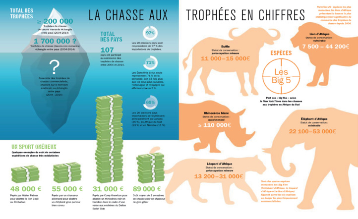 Faune sauvage : La polémique sur la chasse aux trophées s’invite au Maroc