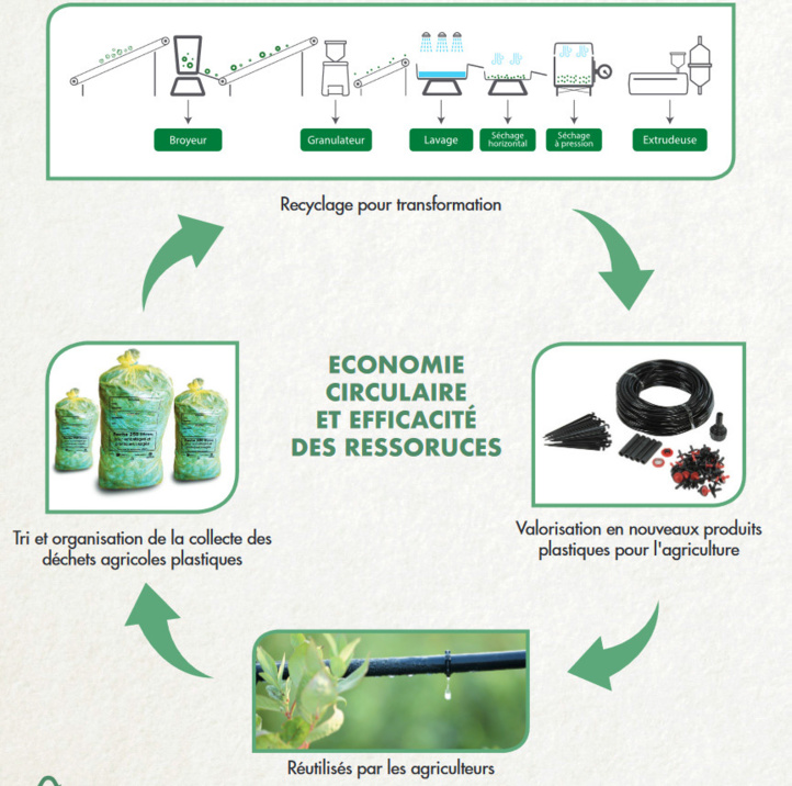 Déchets plastiques  : Haro sur la pollution des sols agricoles Déchets plastiques  : Haro sur la pollution des sols agricoles