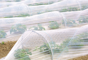 Déchets plastiques  : Haro sur la pollution des sols agricoles