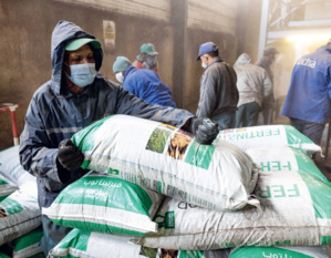 Déchets plastiques  : Haro sur la pollution des sols agricoles Déchets plastiques  : Haro sur la pollution des sols agricoles