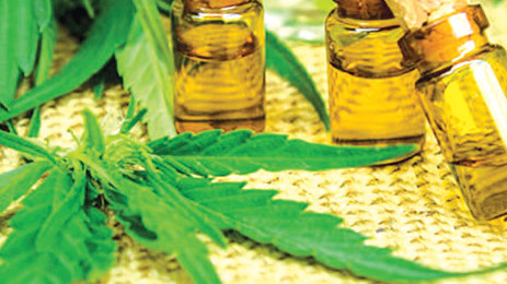 Recherche scientifique : L’huile de cannabis pour traiter l’autisme Recherche scientifique : L’huile de cannabis pour traiter l’autisme