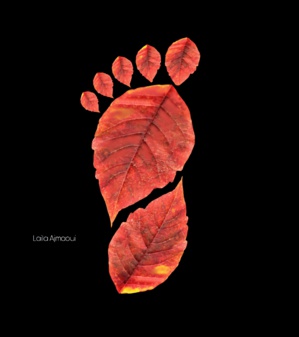 Interview avec Laila Ajmaoui : Voyage dans le monde de la photographie Interview avec Laila Ajmaoui : Voyage dans le monde de la photographie