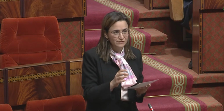 Simplification des procédures administratives : Devant les députés, Mezzour dresse le bilan des audits
