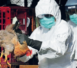 Grippe saisonnière et Covid : Cette «twindemic» qui tourmente les Marocains ! Grippe saisonnière et Covid : Cette «twindemic» qui tourmente les Marocains !