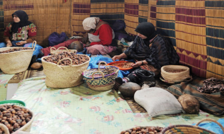 ODCO : l’Économie Sociale permettra de créer 50.000 nouveaux emplois annuellement ODCO : l’Économie Sociale permettra de créer 50.000 nouveaux emplois annuellement