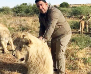 Tourisme : Faire un safari au Maroc ? Bientôt possible ! Tourisme : Faire un safari au Maroc ? Bientôt possible !