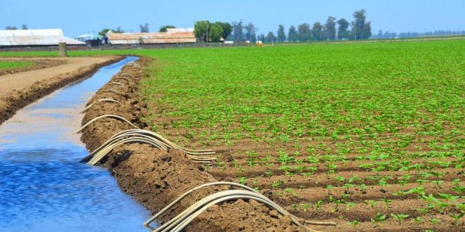 Mohamed Sadiki donne les clés pour une agriculture marocaine à triple performance