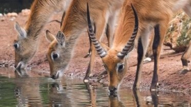 Le jardin zoologique de Rabat a comptabilisé 5.4 millions de visiteurs depuis 2012