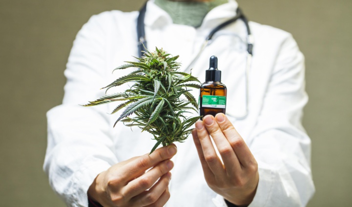 Une étude américaine établit un lien entre le cannabis et la réduction du risque d'infection au Covid
