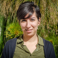 Marché du travail : Des insuffisances qui creusent le fossé des inégalités Marché du travail : Des insuffisances qui creusent le fossé des inégalités