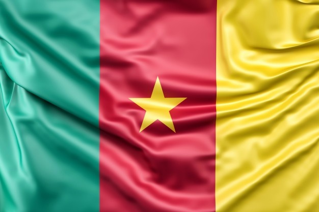 CAN 2021 /  Cameroun-Comores : Une bousculade aurait fait 7 morts et des blessés aux abords du stade abritant le match