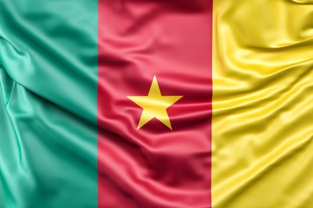 CAN 2021 / Cameroun-Comores : Une bousculade aurait fait 7 morts et des blessés aux abords du stade abritant le match CAN 2021 / Cameroun-Comores : Une bousculade aurait fait 7 morts et des blessés aux abords du stade abritant le match
