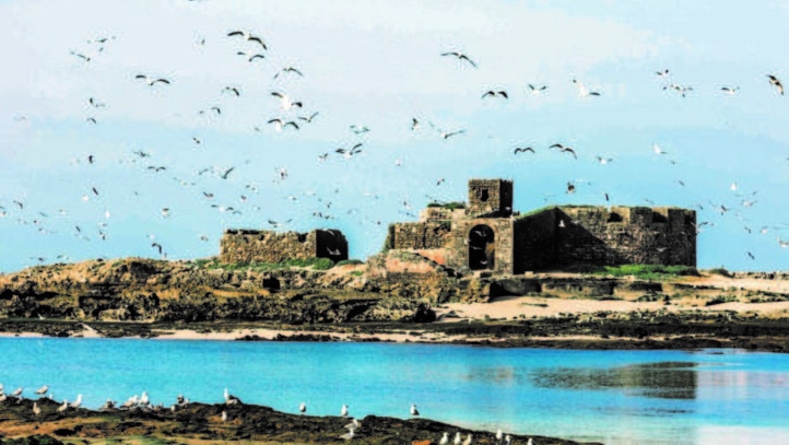 Île de Mogador : Témoin de la richesse historique et civilisationnelle