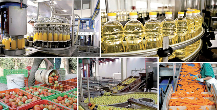 Agricole et agro-alimentaire : Bonnes performances des exportations