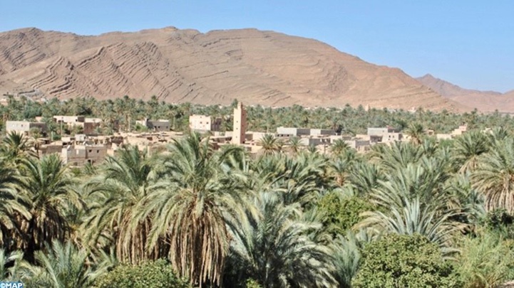 Guelmim-Oued Noun : Initiatives en faveur du secteur agricole Guelmim-Oued Noun : Initiatives en faveur du secteur agricole