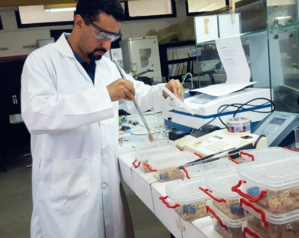 Extraction des venins : Une industrie marocaine prometteuse et pointue
