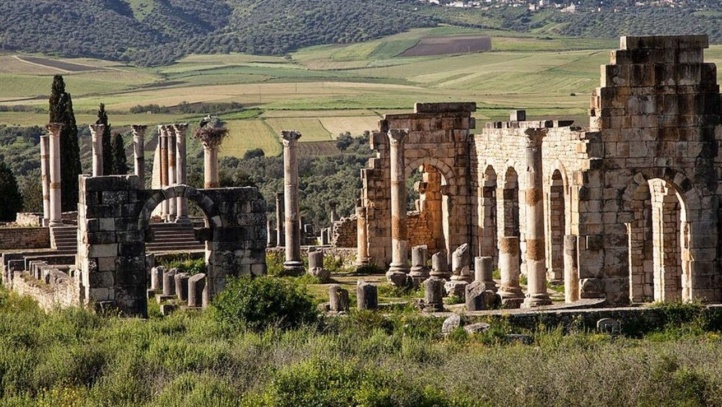 Volubilis :  A l’épreuve du manque de touristes… Volubilis :  A l’épreuve du manque de touristes…