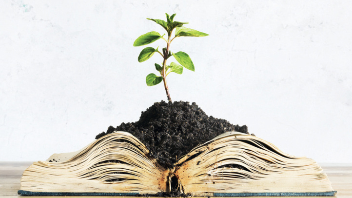 Papier ou tablette : L’industrie du livre subit le diktat de l’écologie Papier ou tablette : L’industrie du livre subit le diktat de l’écologie