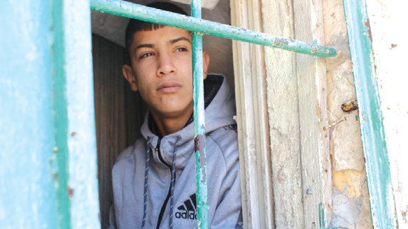Palestine : Le garçon à la fenêtre Palestine : Le garçon à la fenêtre
