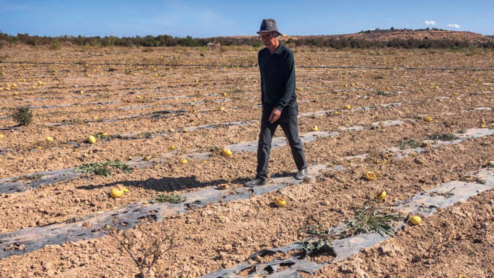 Sécheresse : L’espoir d’une pluie bienfaitrice est-il encore de mise ? Sécheresse : L’espoir d’une pluie bienfaitrice est-il encore de mise ?