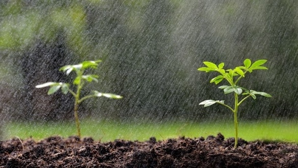 Les précipitations reviennent, des chutes de neige et de fortes pluies ce dimanche au Maroc Les précipitations reviennent, des chutes de neige et de fortes pluies ce dimanche au Maroc