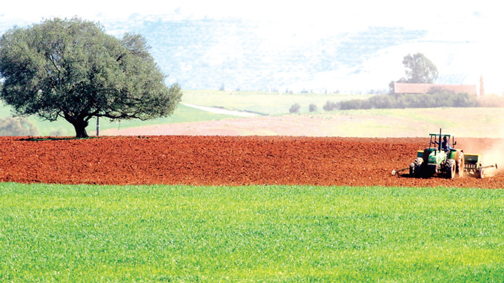 El Jadida / Soutien au monde rural : Les agriculteurs rassurés… El Jadida / Soutien au monde rural : Les agriculteurs rassurés…