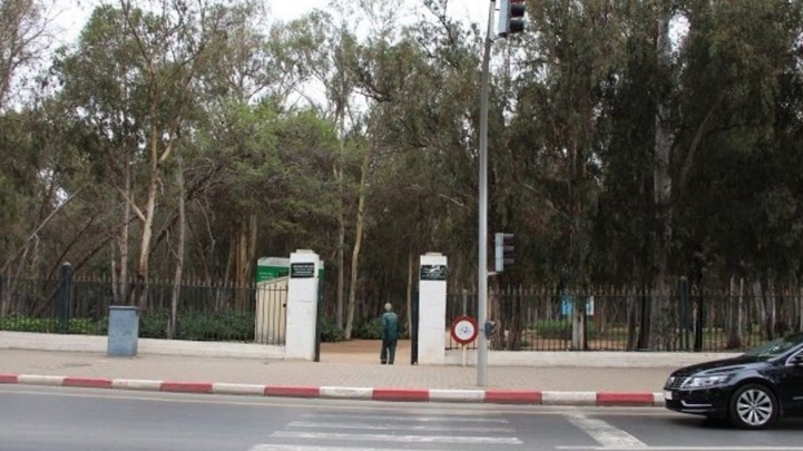 Forêt urbaine Ibn Sina/Rabat : Un incendie ravage une voiture Forêt urbaine Ibn Sina/Rabat : Un incendie ravage une voiture