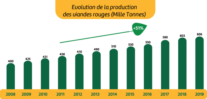 Élevage et viandes rouges : La résilience de la filière à l’épreuve de la sécheresse