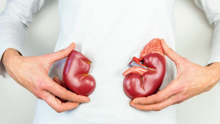 Association REINS/Rabat : Campagne de sensibilisation aux dangers de la maladie rénale Association REINS/Rabat : Campagne de sensibilisation aux dangers de la maladie rénale