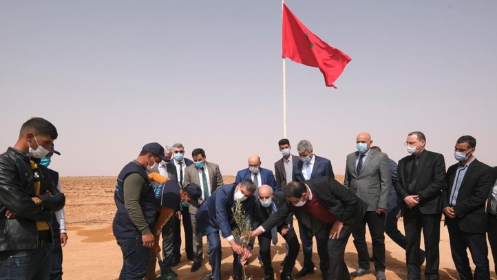 Oriental : Plusieurs projets de développement agricole et forestier inaugurés Oriental : Plusieurs projets de développement agricole et forestier inaugurés