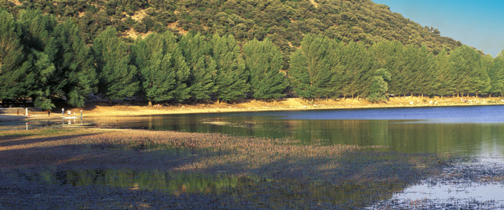 Richesse forestière : l'UpM et la FAO soutiennent la restauration des paysages au Maroc Richesse forestière : l'UpM et la FAO soutiennent la restauration des paysages au Maroc
