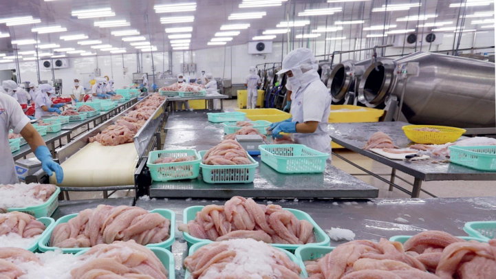 Développement durable : Vers une reconstruction post-Covid de l’industrie halieutique