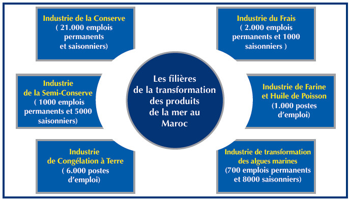Développement durable : Vers une reconstruction post-Covid de l’industrie halieutique Développement durable : Vers une reconstruction post-Covid de l’industrie halieutique